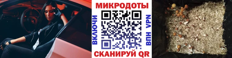 Галлюциногенные грибы мухоморы  что такое   Удомля 